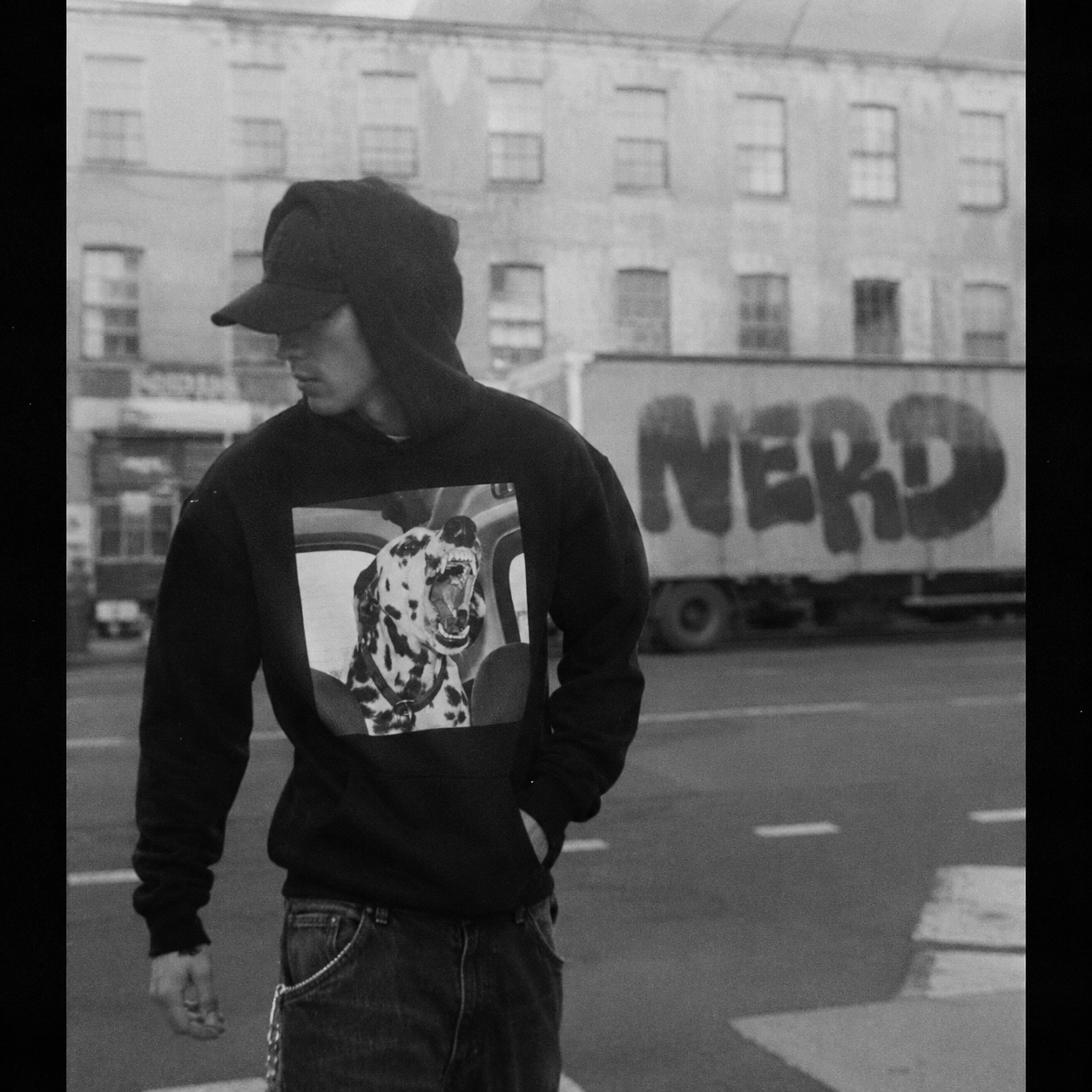 DALMATIAN HOODIE