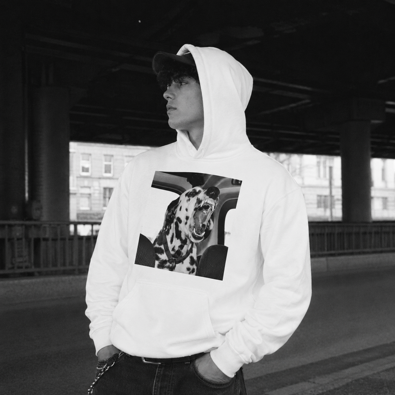 DALMATIAN HOODIE