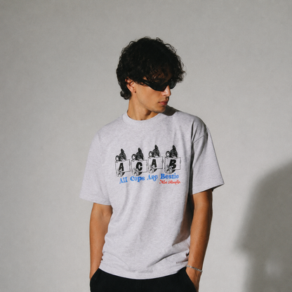 All Cats Are Besties 01 T-Shirt
