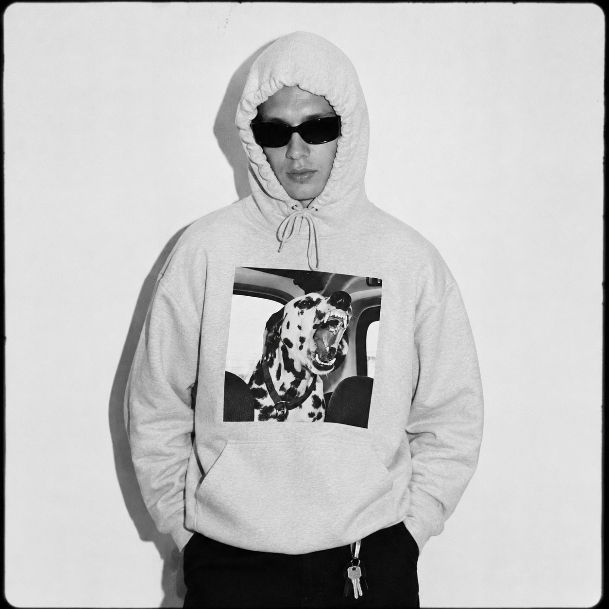 Dalmatian Hoodie