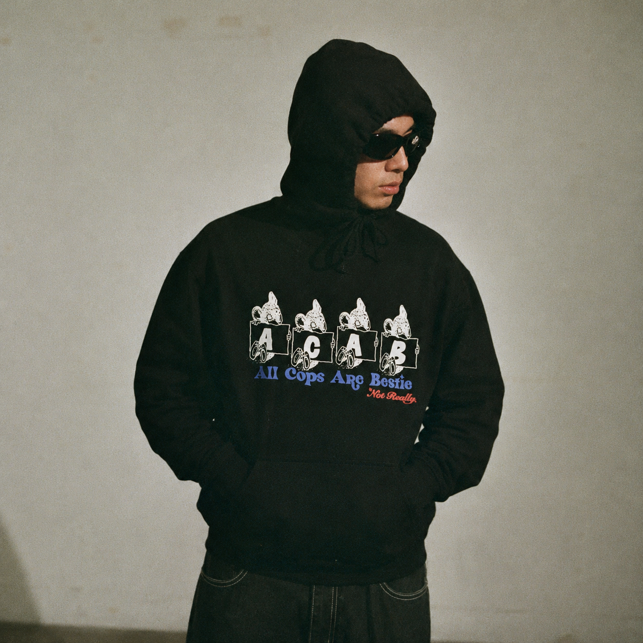 All Cats Are Bestie 01 Hoodie
