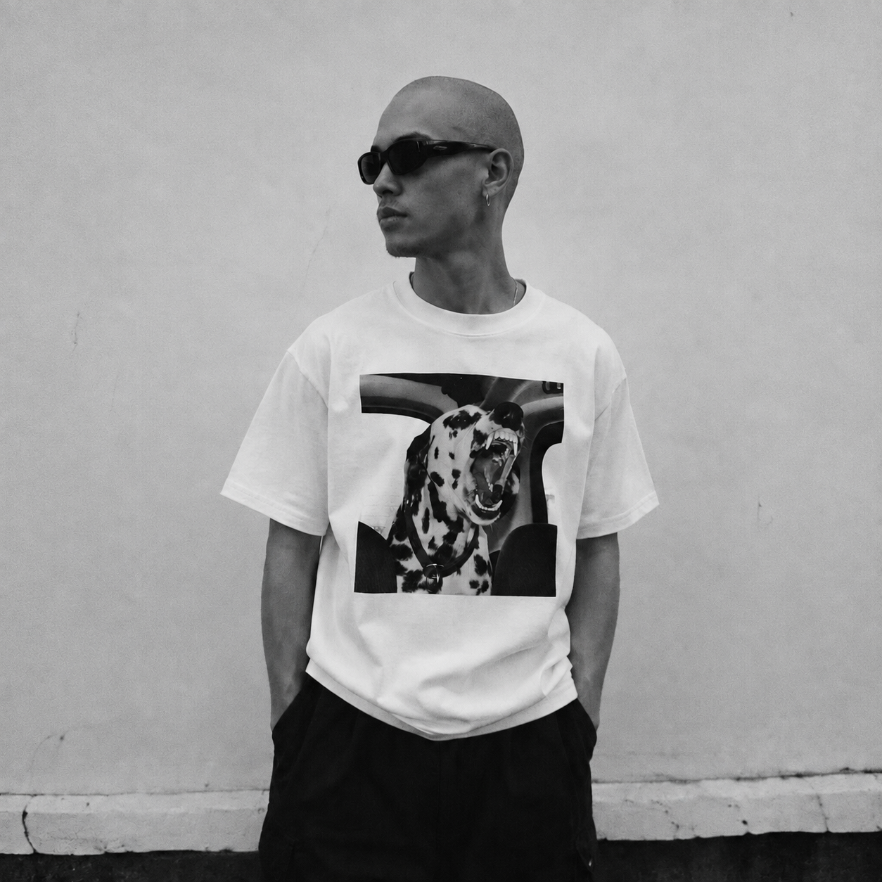 Dalmatian T-Shirt