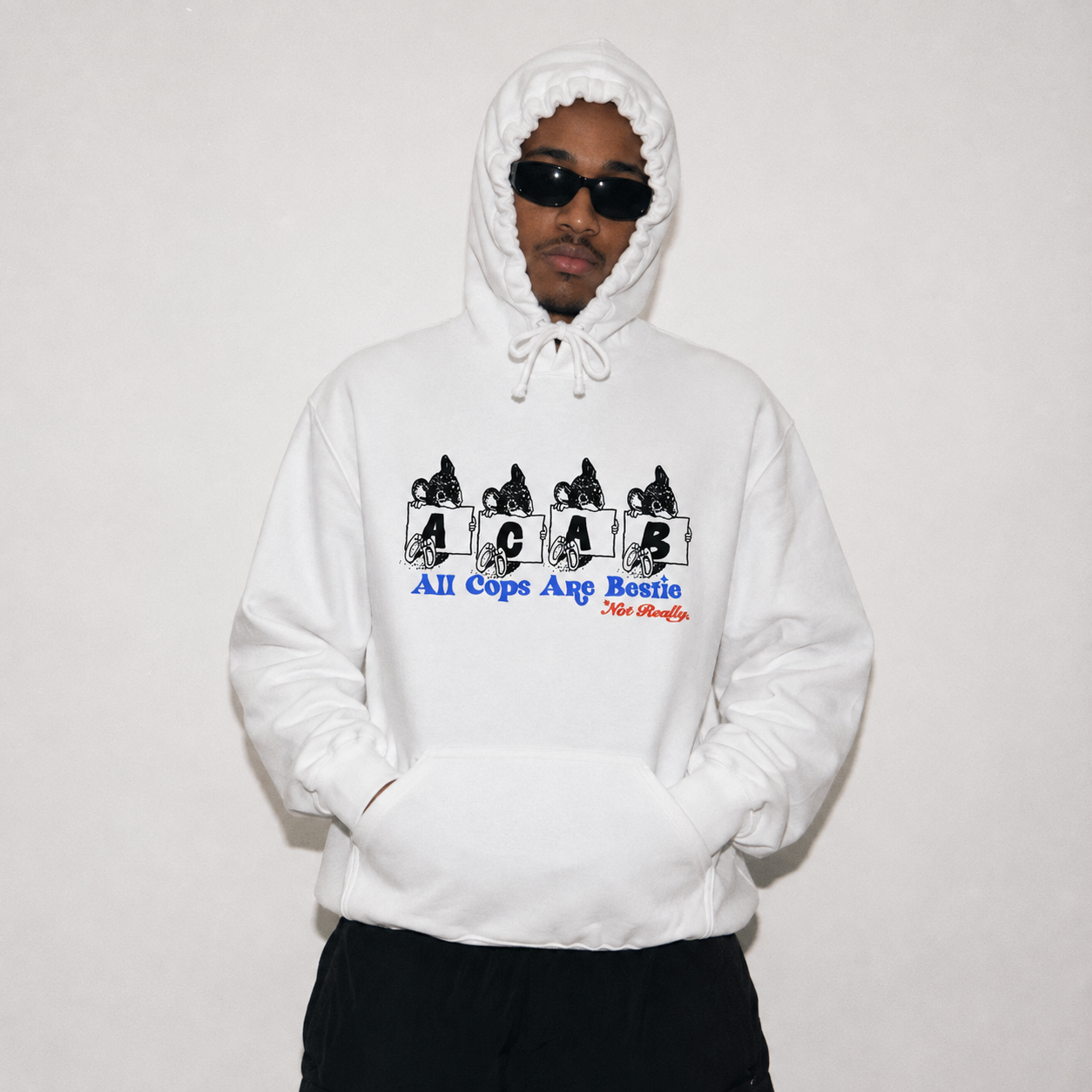 All Cats Are Besties 01 Hoodie