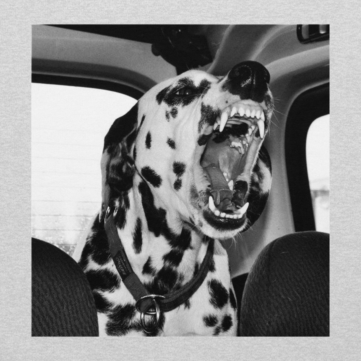 DALMATIAN T-SHIRT