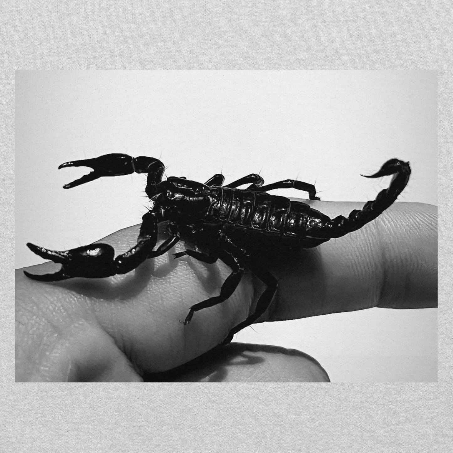 SCORPION T-SHIRT