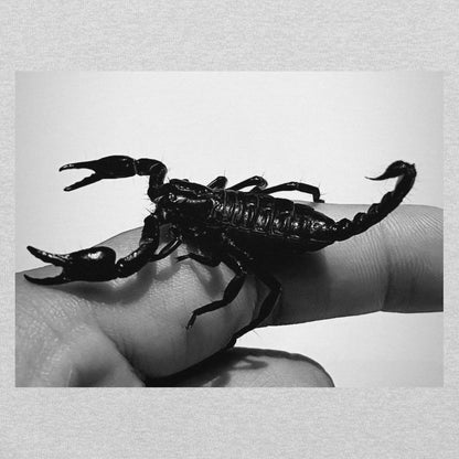 SCORPION T-SHIRT