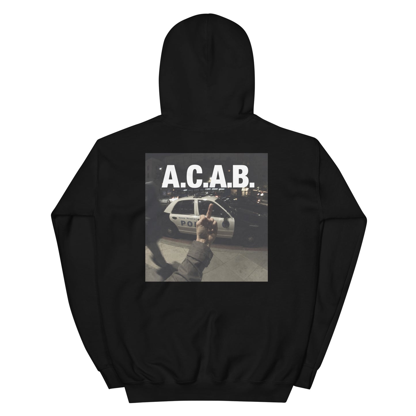 All Cats Are Bestie 02 Hoodie