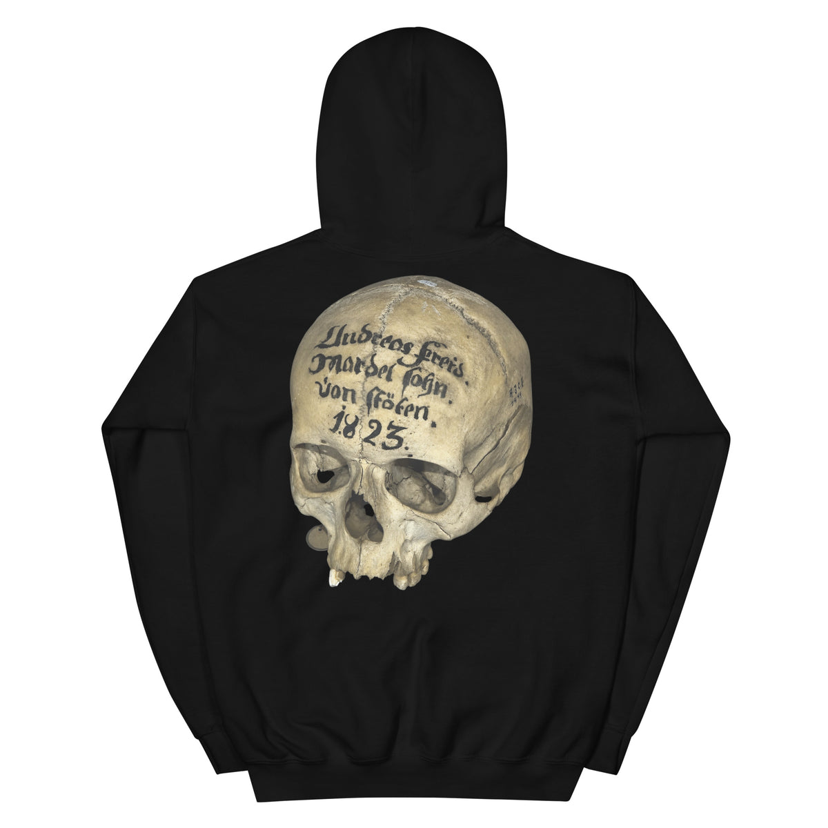 Artifact Hoodie