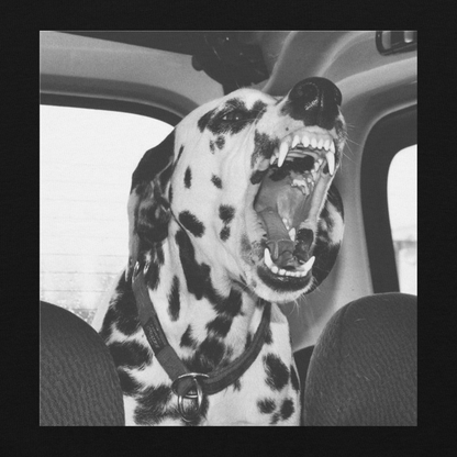 DALMATIAN HOODIE