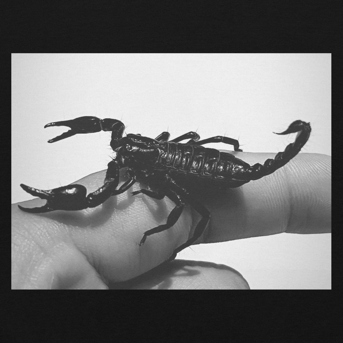 SCORPION HOODIE
