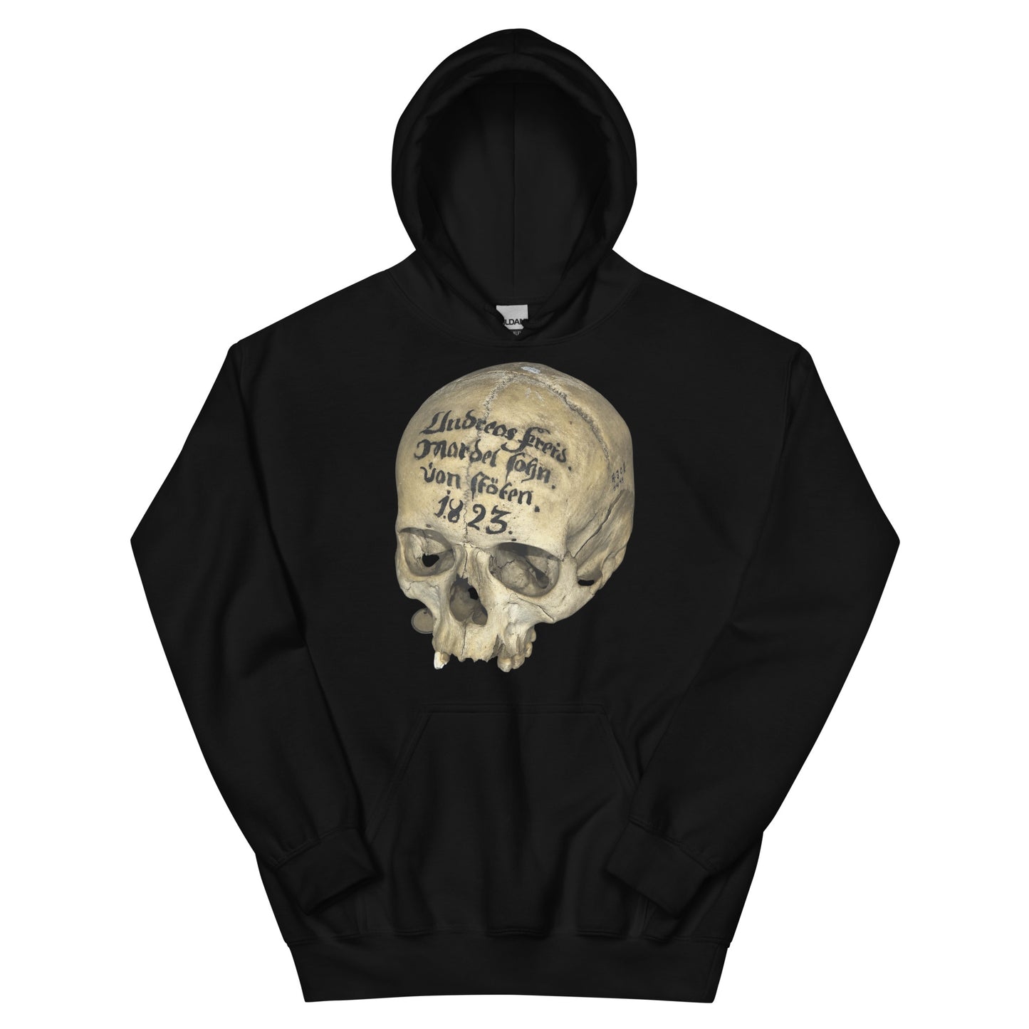 Artifact Hoodie