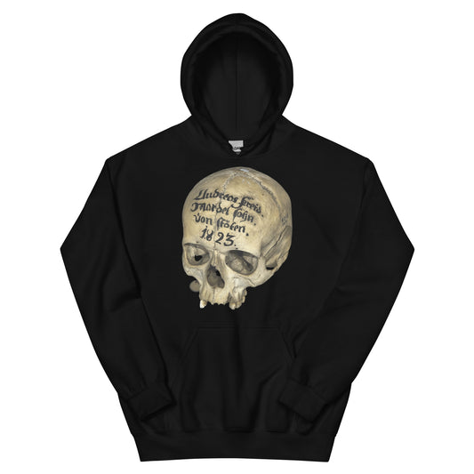 Artifact Hoodie