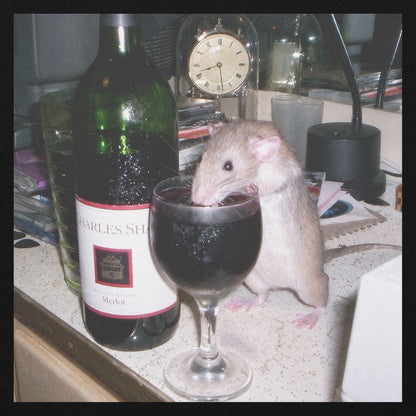 Classy Rat Hoodie