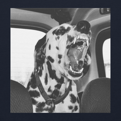 DALMATIAN HOODIE