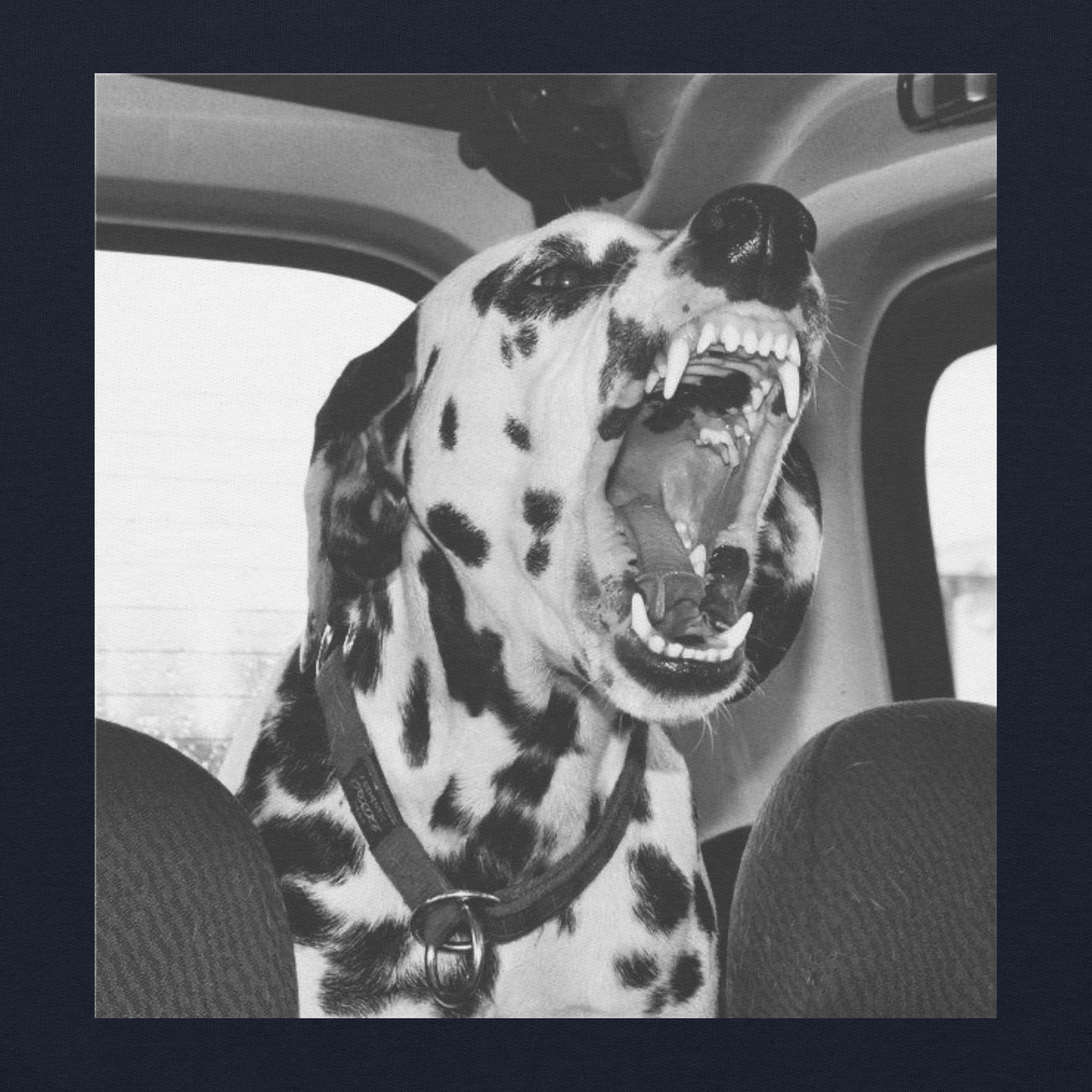 DALMATIAN T-SHIRT