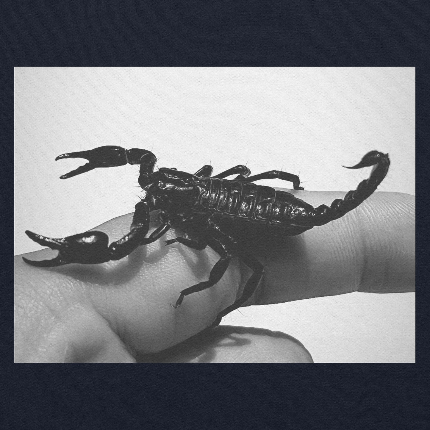 SCORPION T-SHIRT