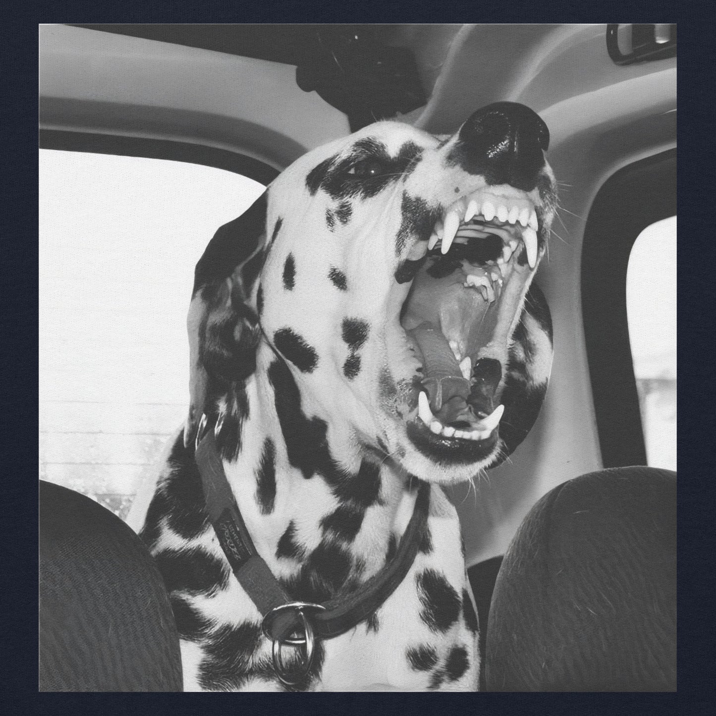Dalmatian Hoodie