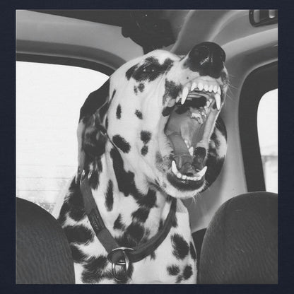 Dalmatian Hoodie