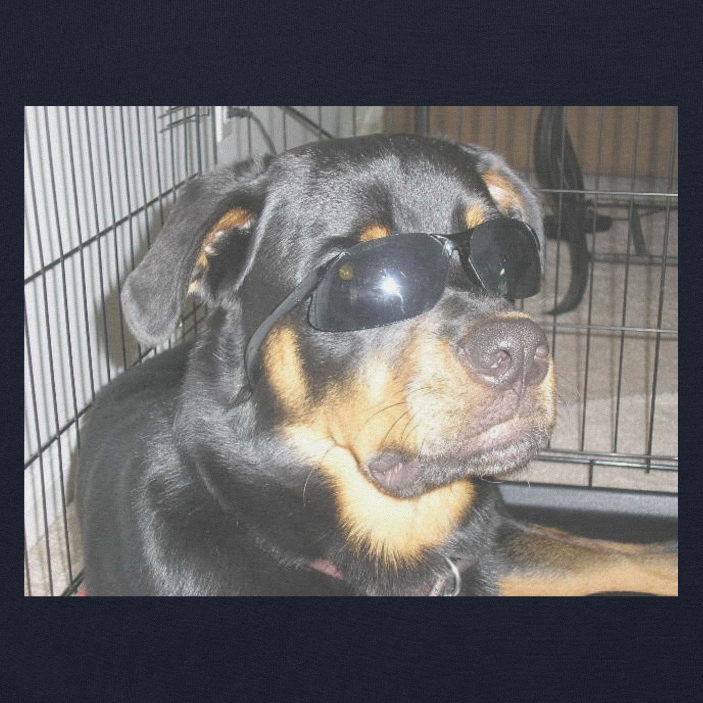 Rottweiler Hoodie