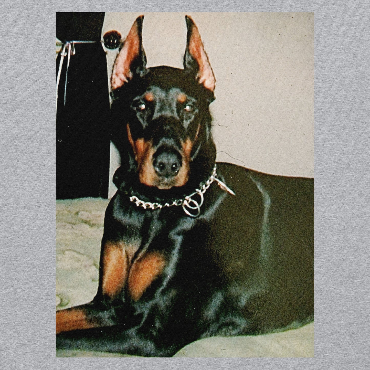 Doberman Hoodie