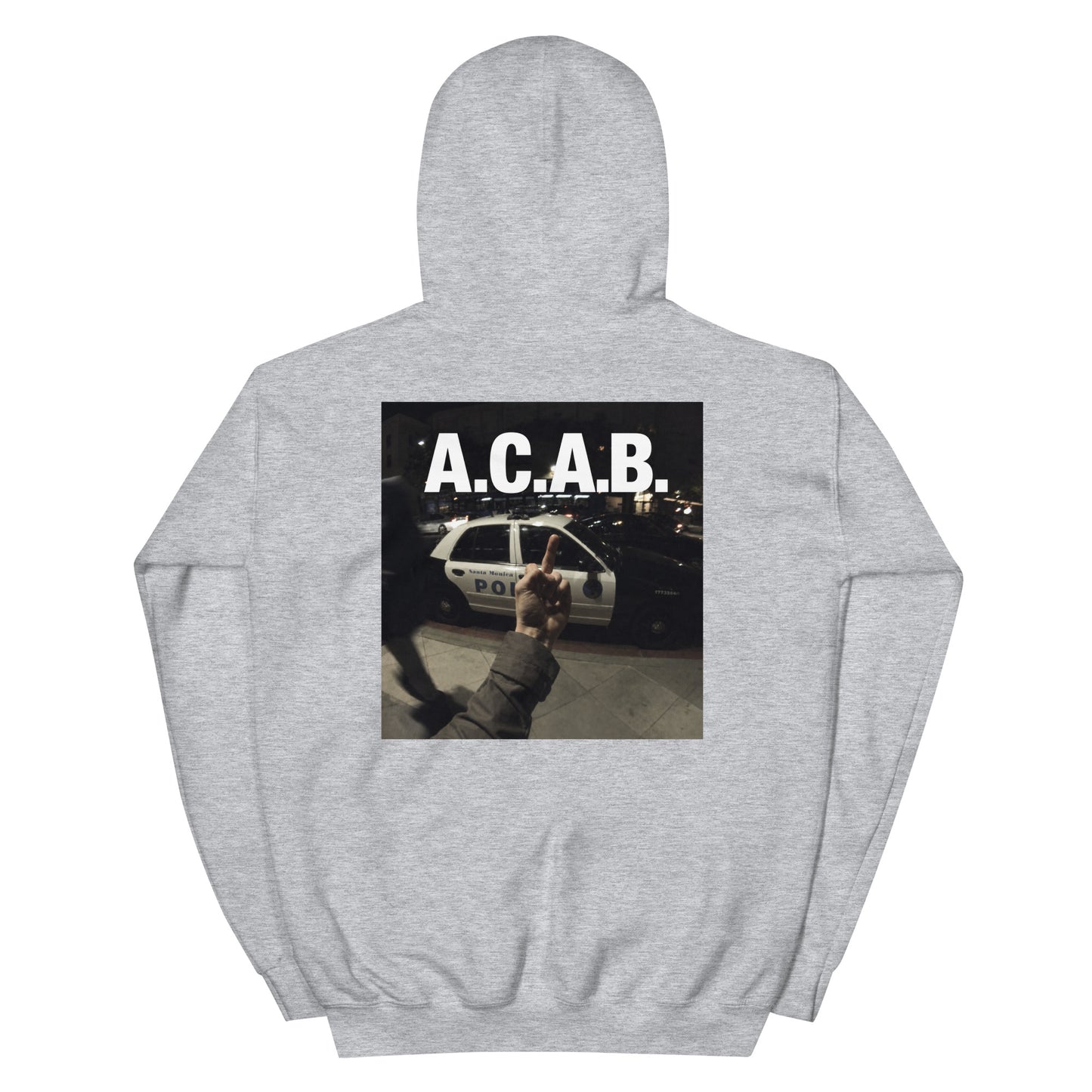 All Cats Are Bestie 02 Hoodie