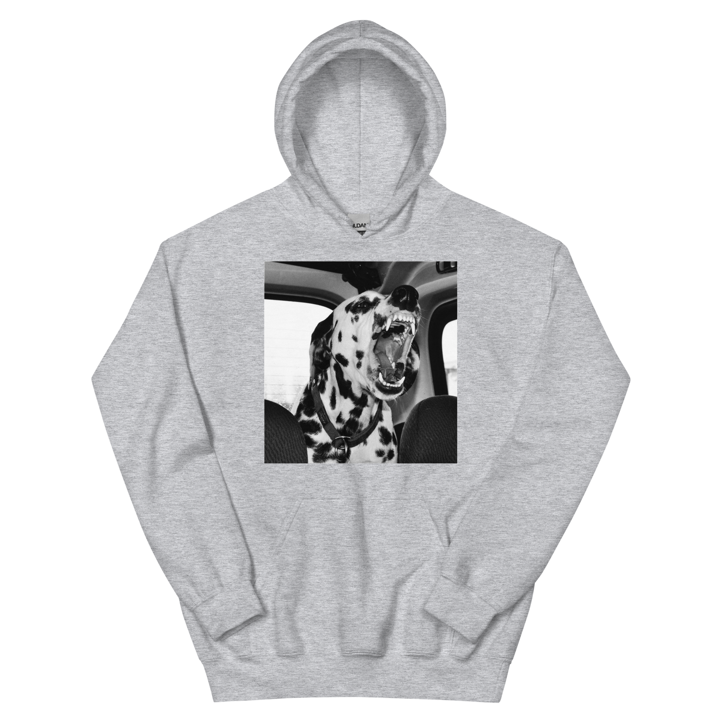 DALMATIAN HOODIE