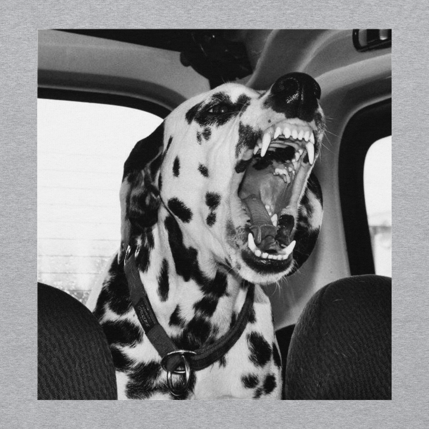 DALMATIAN HOODIE