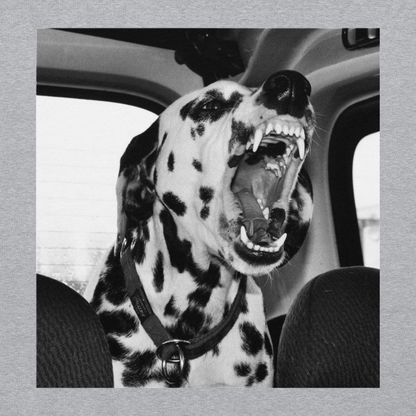 DALMATIAN HOODIE