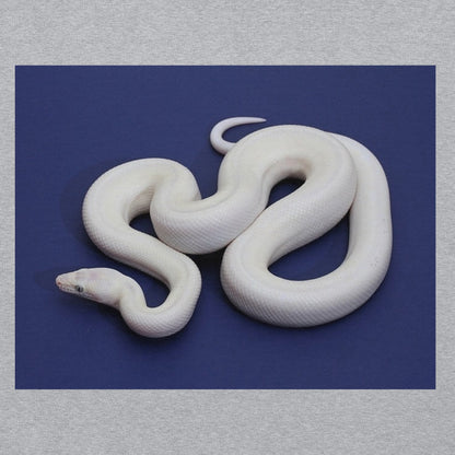 WHITE SNAKE HOODIE