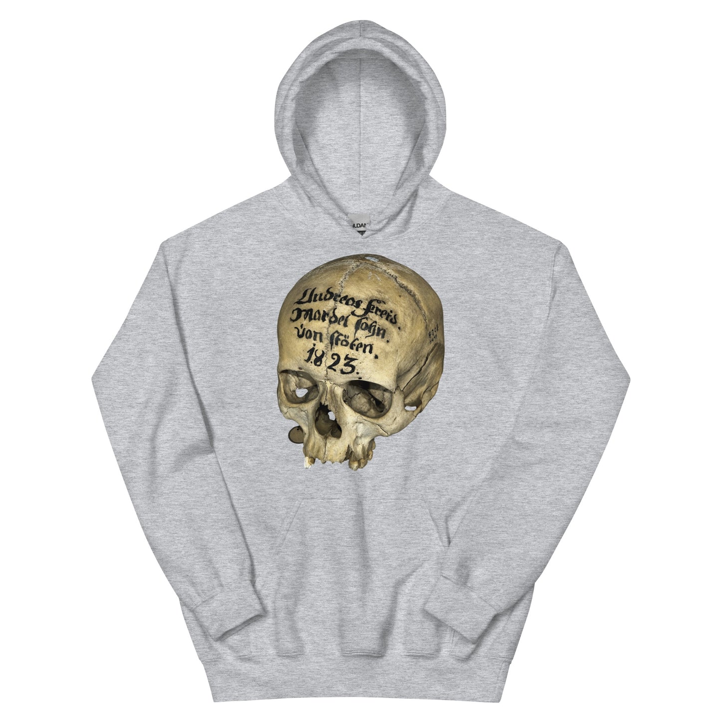 Artifact Hoodie