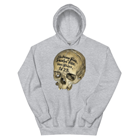 Artifact Hoodie