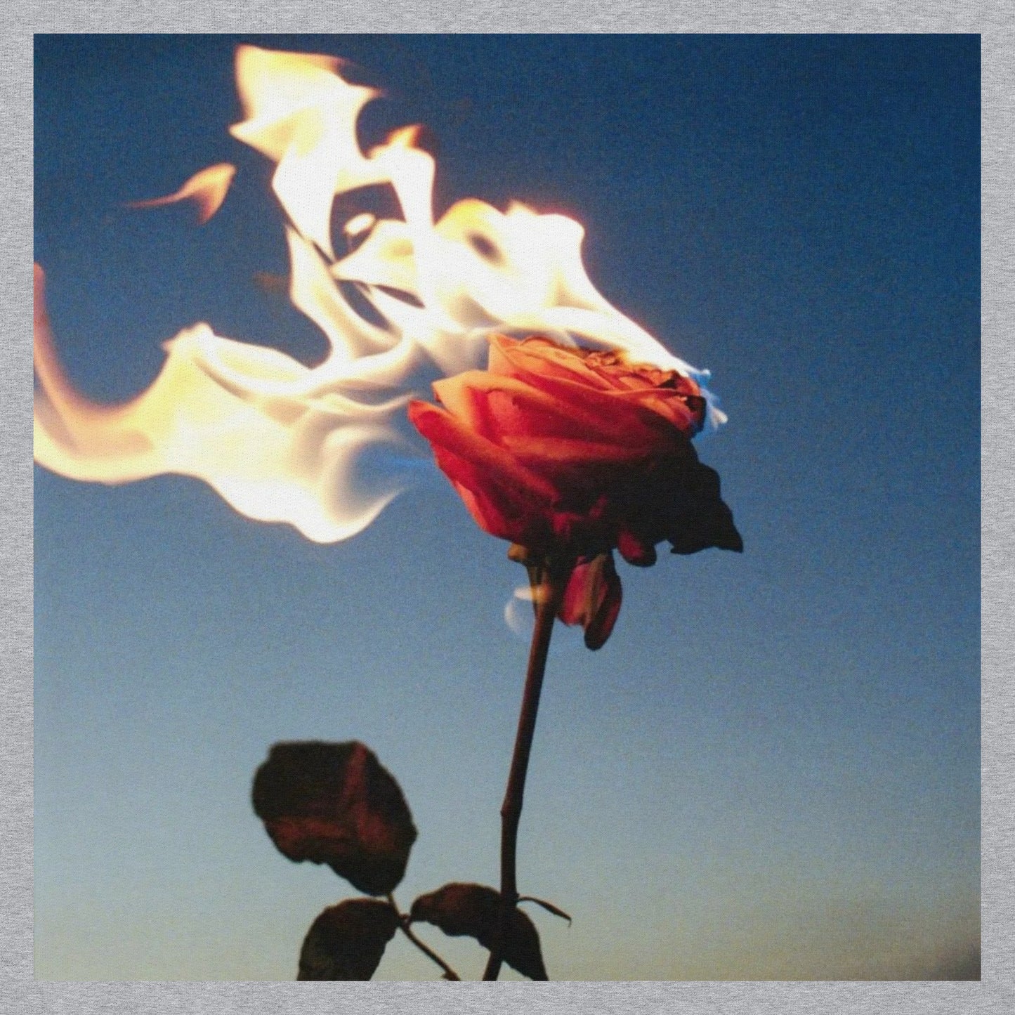 Burning Rose Hoodie