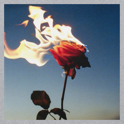 Burning Rose Hoodie