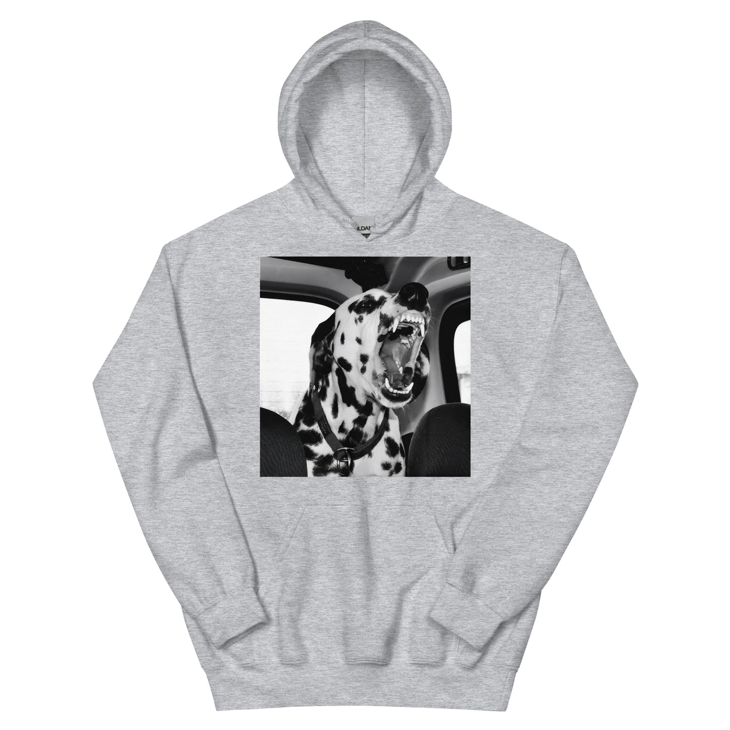 Dalmatian Hoodie