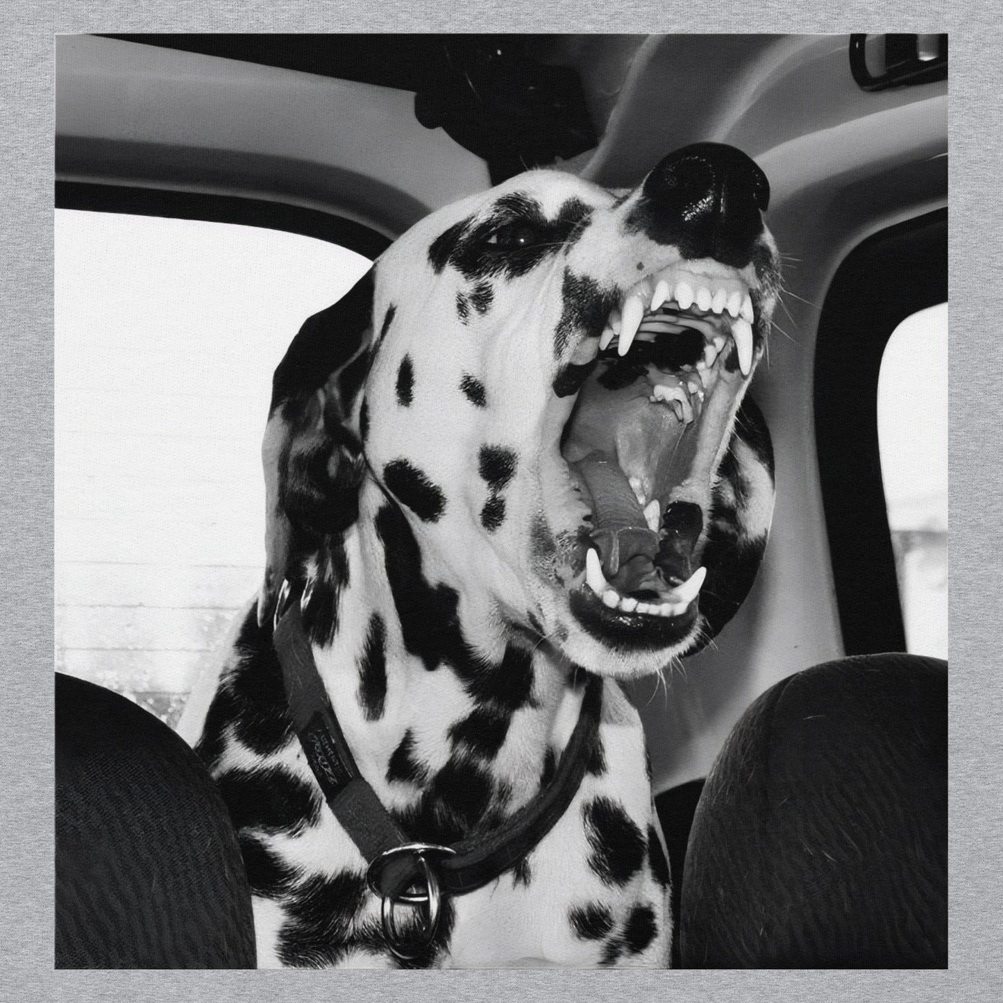 Dalmatian Hoodie