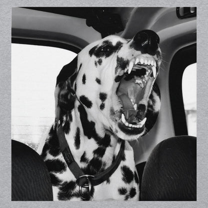 Dalmatian Hoodie