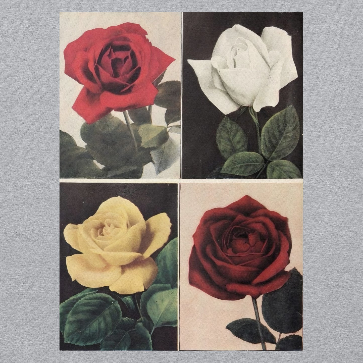 Rose Quartet T-Shirt