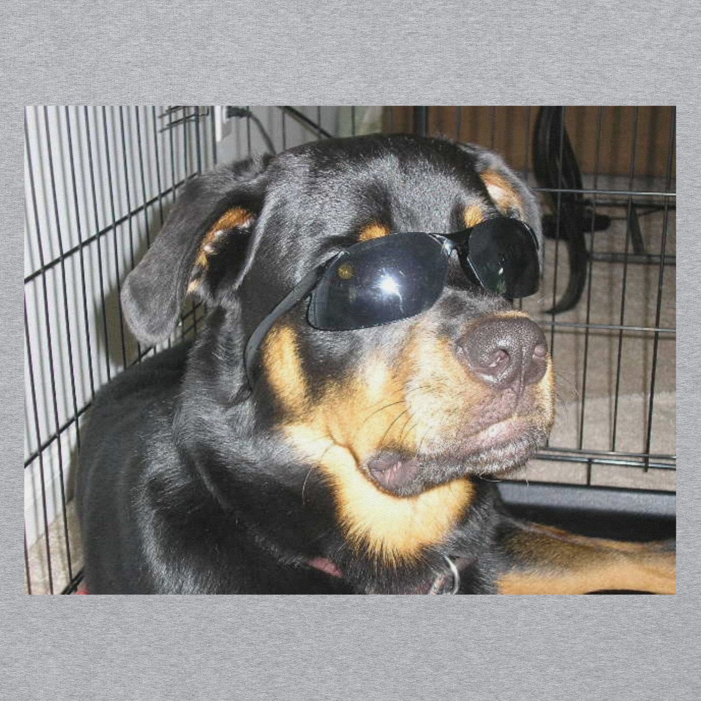 Rottweiler T-Shirt