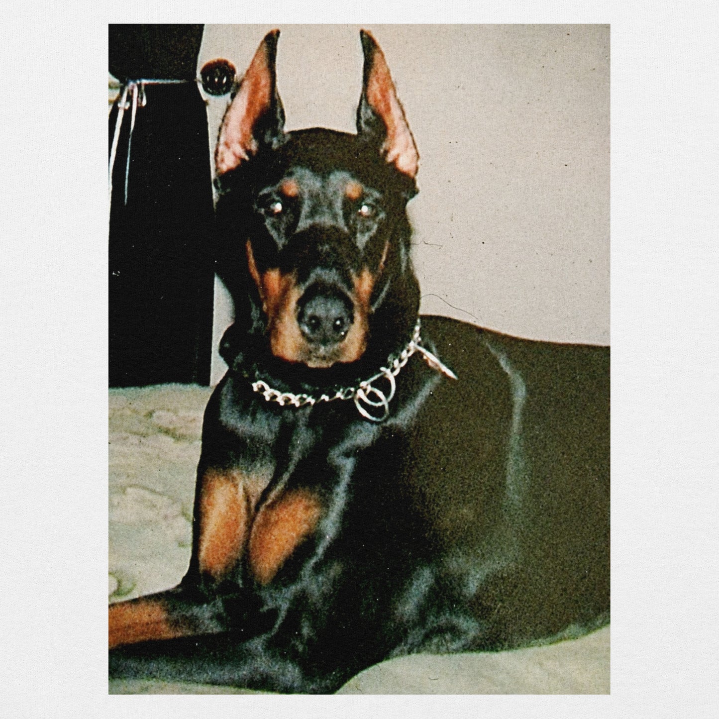 Doberman Hoodie