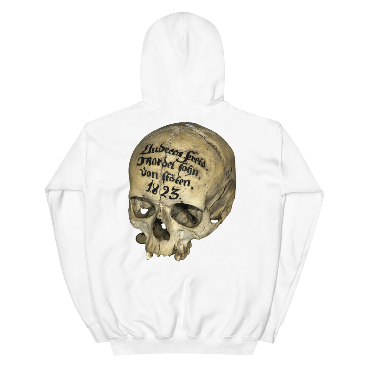 Artifact Hoodie