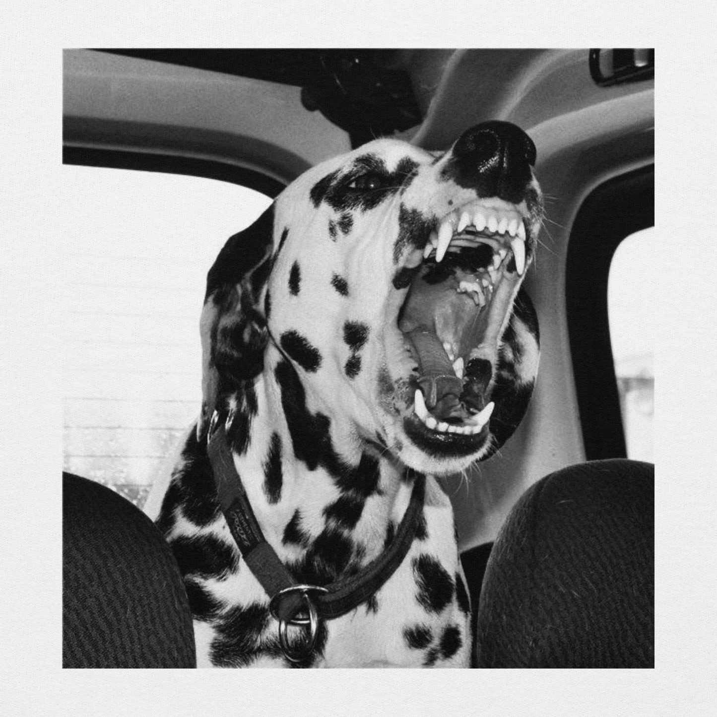 DALMATIAN T-SHIRT
