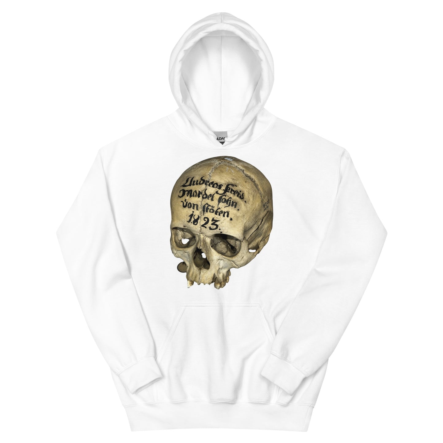 Artifact Hoodie
