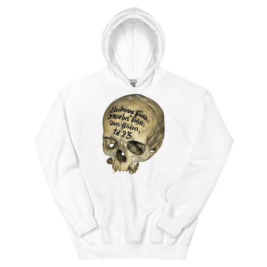 Artifact Hoodie