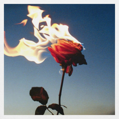 Burning Rose T-Shirt