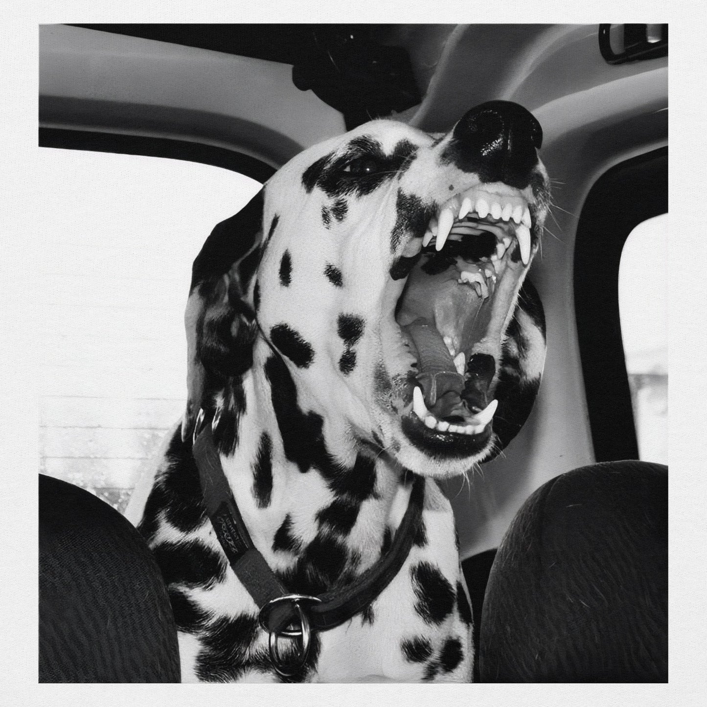 Dalmatian Hoodie