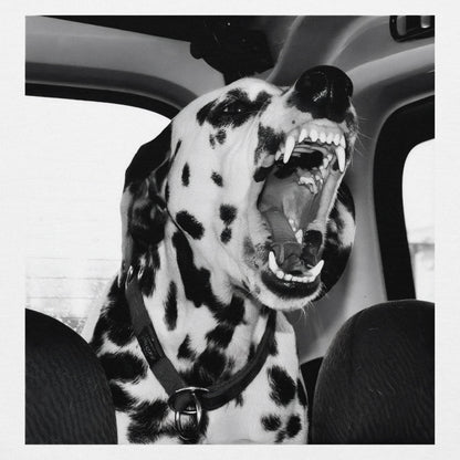 Dalmatian T-Shirt
