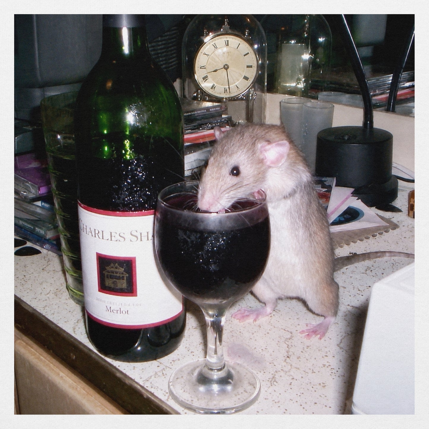 Classy Rat Hoodie