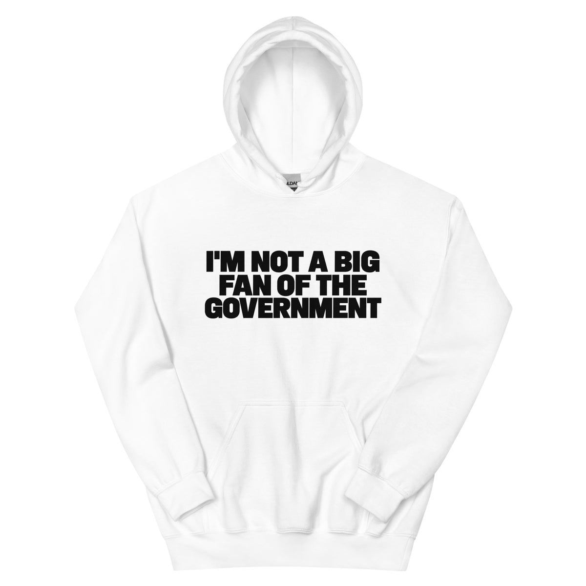 Not A Big Fan Hoodie